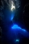 Picture of SOUND FROM SKY