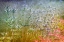 Picture of RAINBOW
