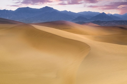 Picture of MESQUITE FLAT SAND DUNES