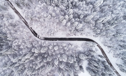 Picture of ROAD THROUGH THE WINTER FOREST