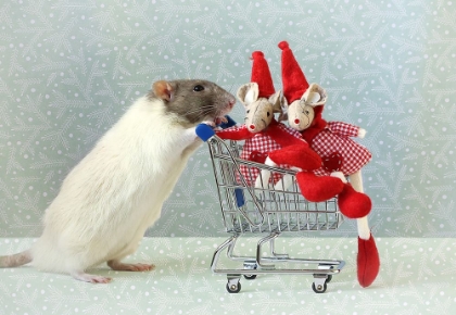 Picture of CHRISTMAS SHOPPING