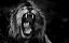 Picture of ROAR