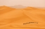 Picture of CAMELS CARAVAN IN SAHARA
