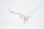Picture of THE WHITE GHOST IS COMING