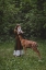 Picture of UNTITLED