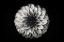 Picture of DAHLIA