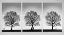Picture of THE HISTORY OF THE TREE