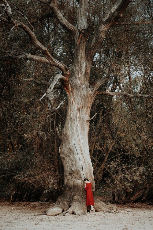 Picture of GIRL IN A RED DRESS