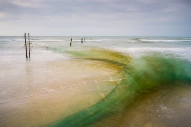 Picture of DANCING WITH THE WIND NETS