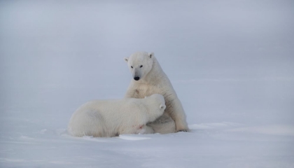 Picture of FEEDING