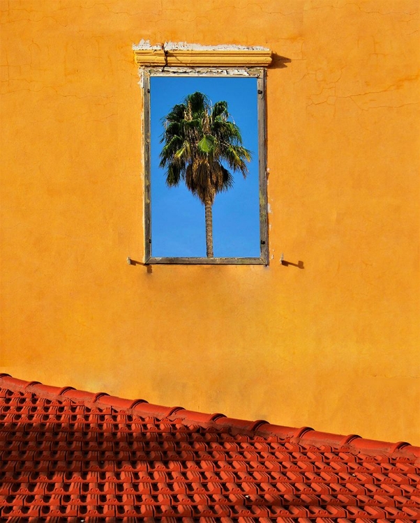 Picture of URBAN TEXTURE - TEL AVIV JAFFA