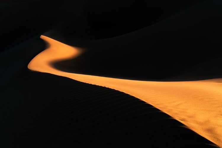 Picture of DANCE OF THE LIGHT IN THE DESERT