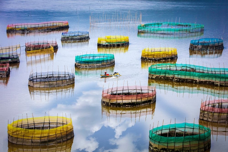 Picture of FISHERMAN LIFE