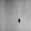 Picture of THE LAST PICTURE