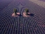 Picture of TWINS