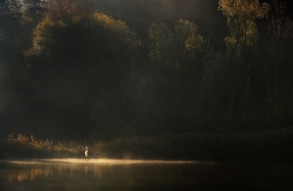 Picture of DOWN BY THE RIVER