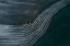 Picture of SERIES TUSCANY - LINES AND CURVES