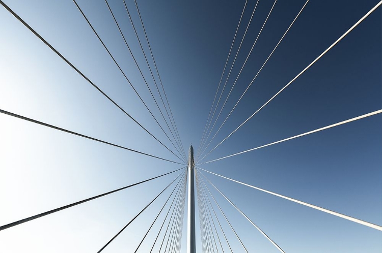 Picture of CALATRAVA BRIDGE.1