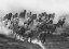 Picture of GALLOPING