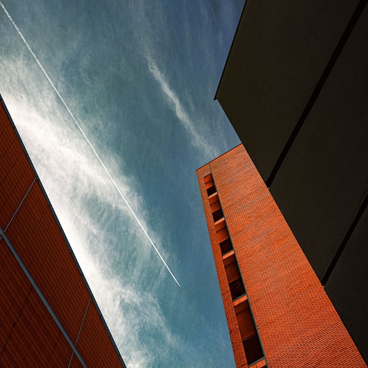 Picture of LOOK UP BARCELONA