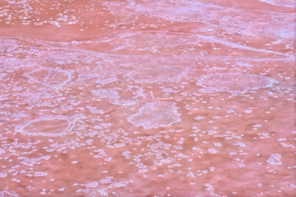 Picture of CRYSTALLIZED SALT IN PUERTO REAL. CADIZ.