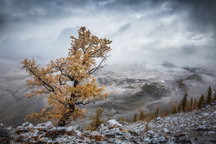 Picture of COLD AUTUMN MORNING IN THE MOUNTAINS