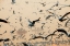 Picture of BIRD