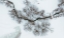 Picture of AFTER SNOW