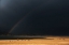 Picture of GRASSLANDS