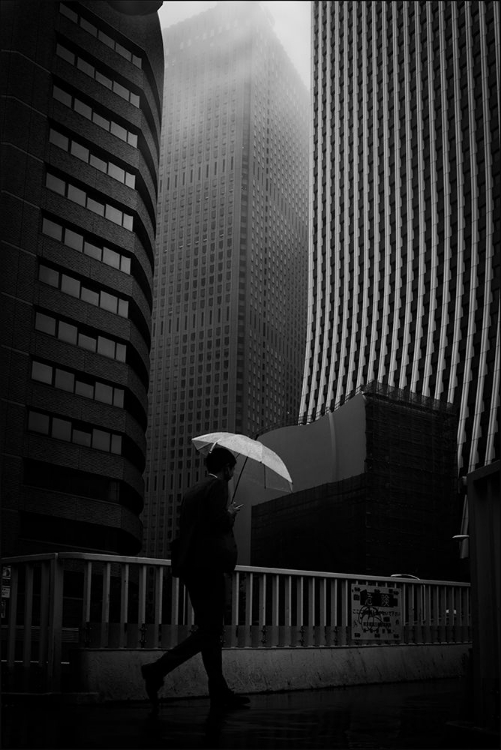 Picture of SHINJUKU IN THE RAIN