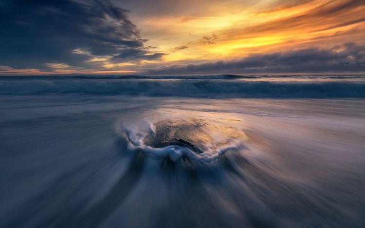 Picture of BLOSSOM IN THE SEA