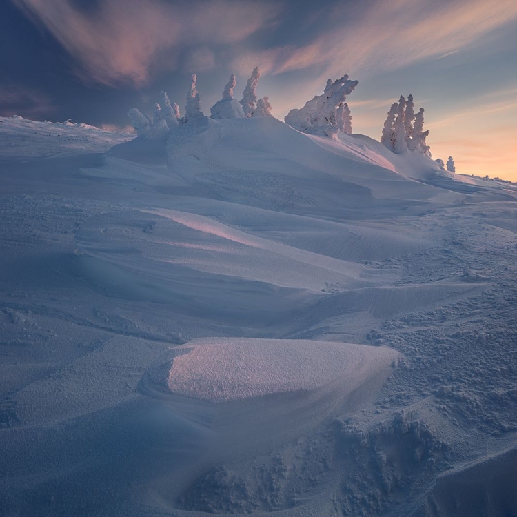 Picture of ONE FROSTY SUNRISE