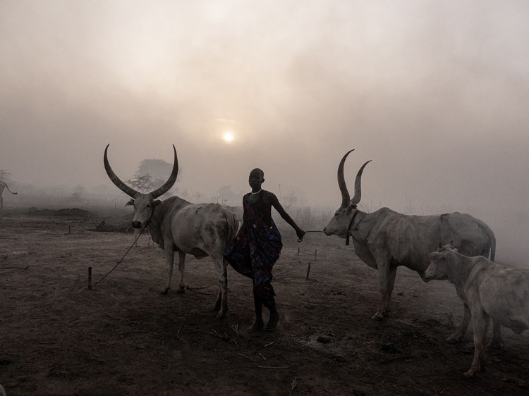 Picture of SUNSET AT TOCH MANGA MUNDARI CAMP, SOUTH SUDAN-3056
