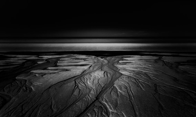 Picture of DANS LE NOIR