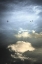 Picture of UNTITLED