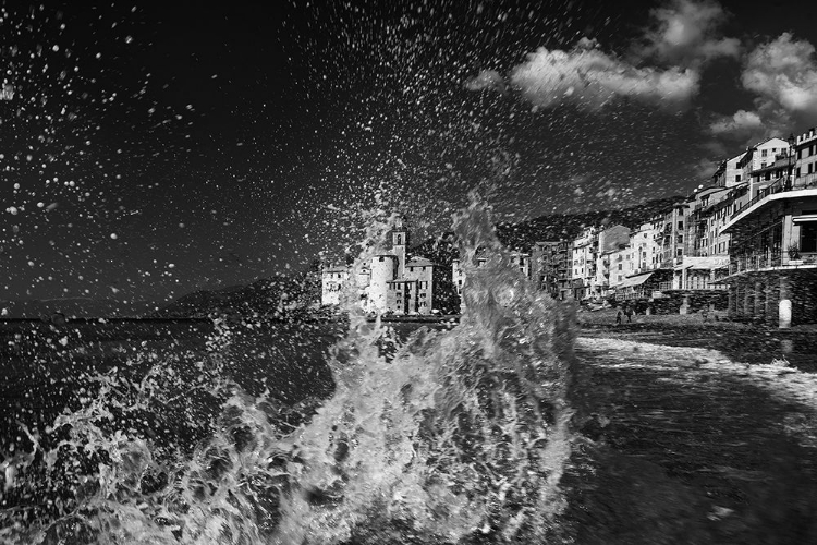 Picture of CAMOGLI