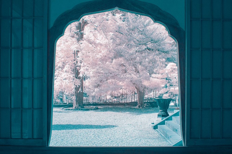 Picture of INFRARED PHOTOGRAPHY