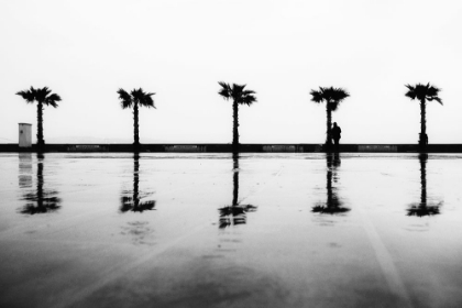 Picture of UNTITLED