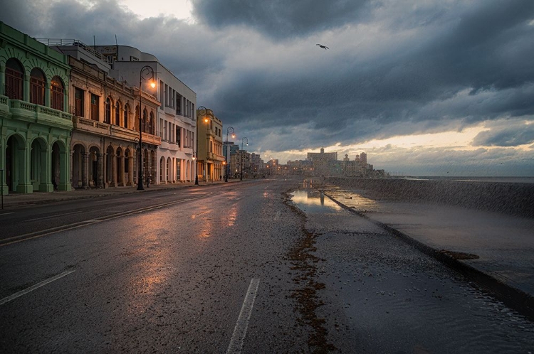 Picture of WINTER MALECON