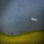 Picture of MINIMALIST LANDSCAPE