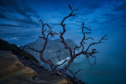Picture of BLUE HOUR IN IJEN CRATER - BANYUWANGI