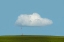 Picture of ALONE