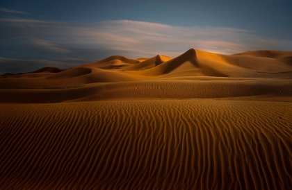 Picture of DESERT