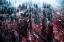 Picture of CITY APOCALYPSE