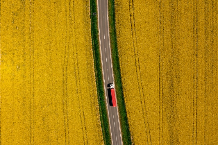 Picture of RED TRUCK