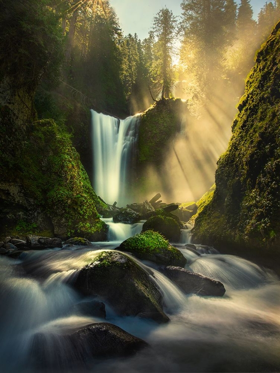 Picture of MISTY CREEK FALLS CREEK