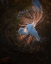 Picture of THE DANCER