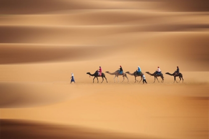 Picture of DESERT CARAVAN