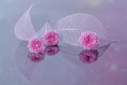 Picture of FLOWERS AND LEAVES