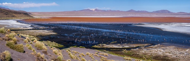 Picture of LAGUNA COLORADA